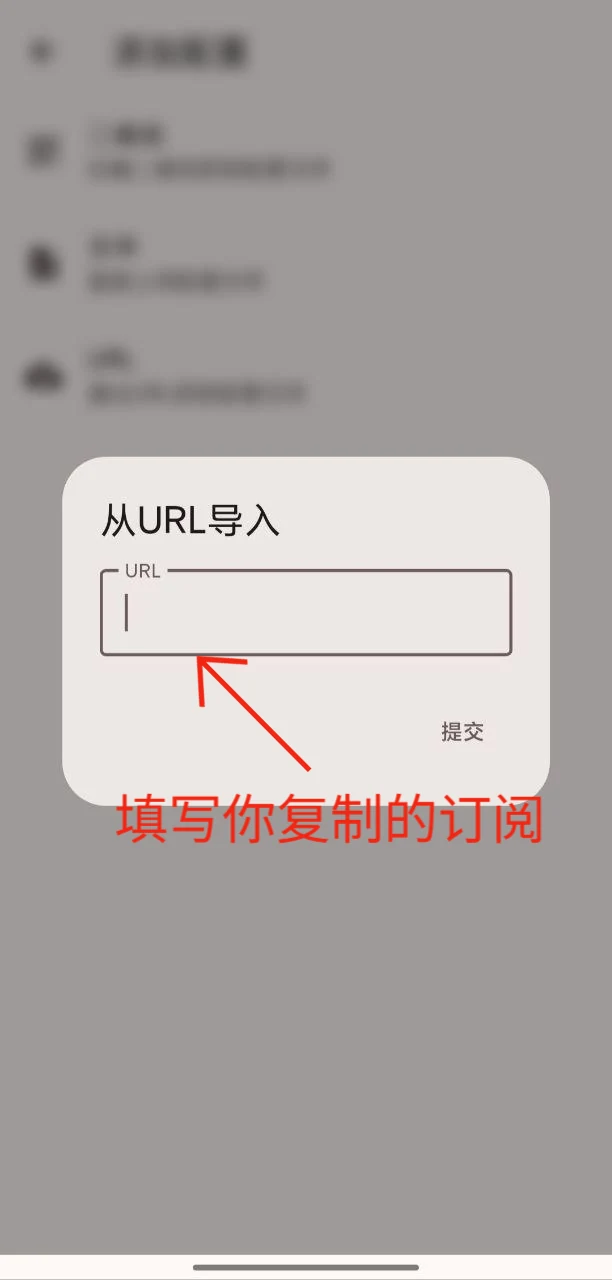 粘贴订阅地址