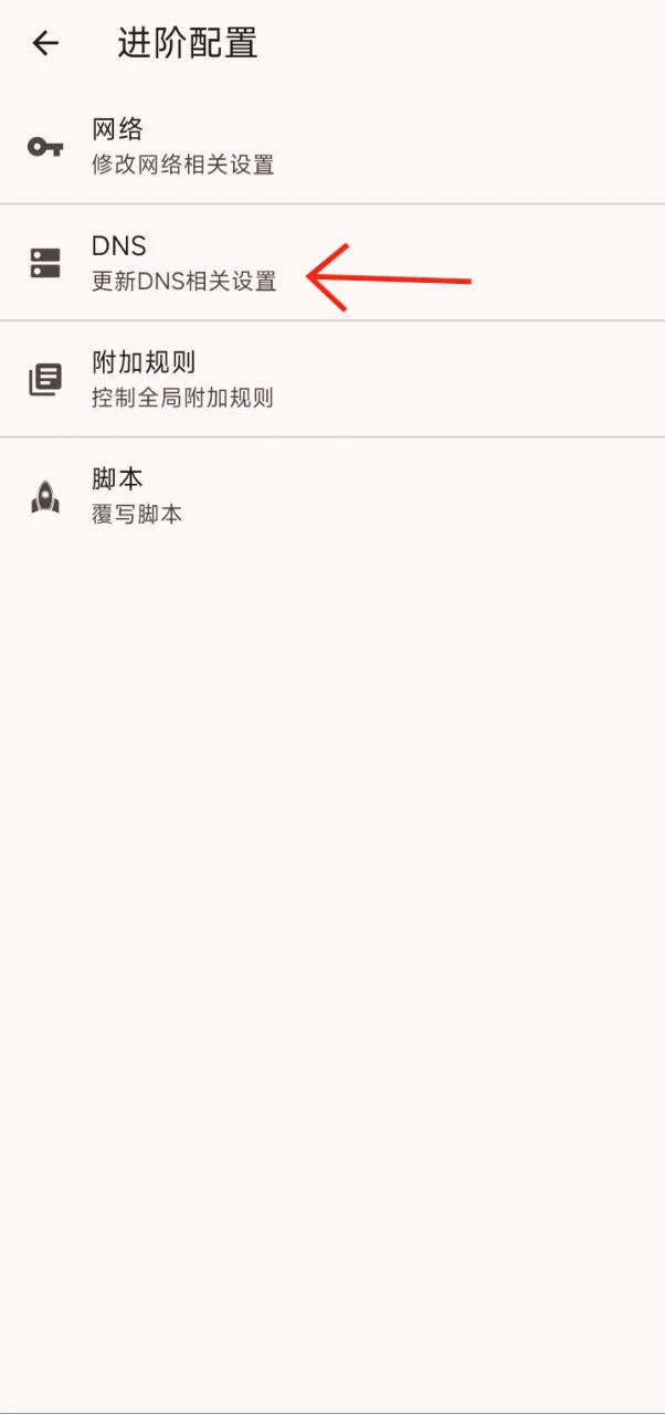 打开 DNS 设置