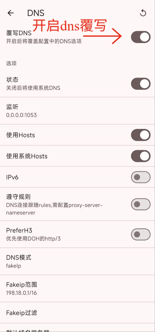 开启 DNS 覆写