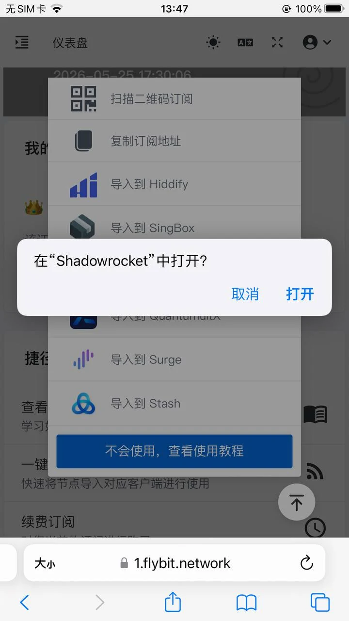 确认在 Shadowrocket 中打开