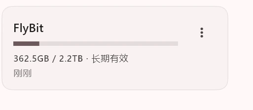 FlyBit 配置卡片显示最新更新时间