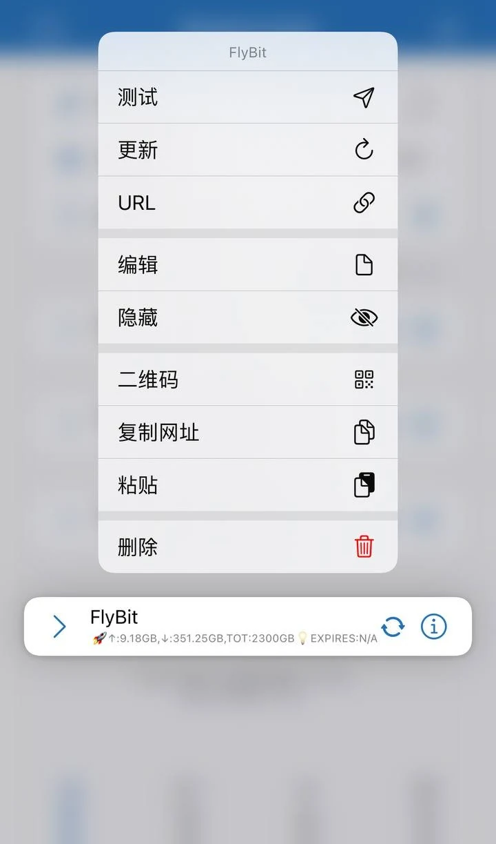 长按 FlyBit 订阅后在 Shadowrocket 菜单中点击更新