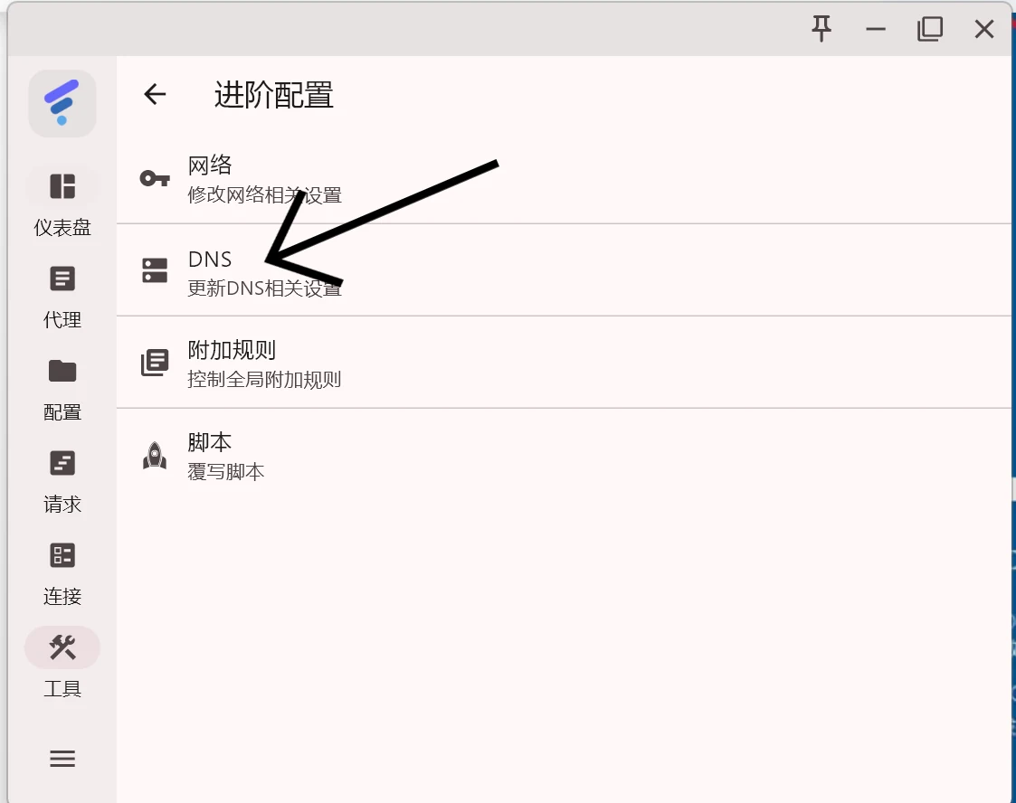 找到 DNS 设置