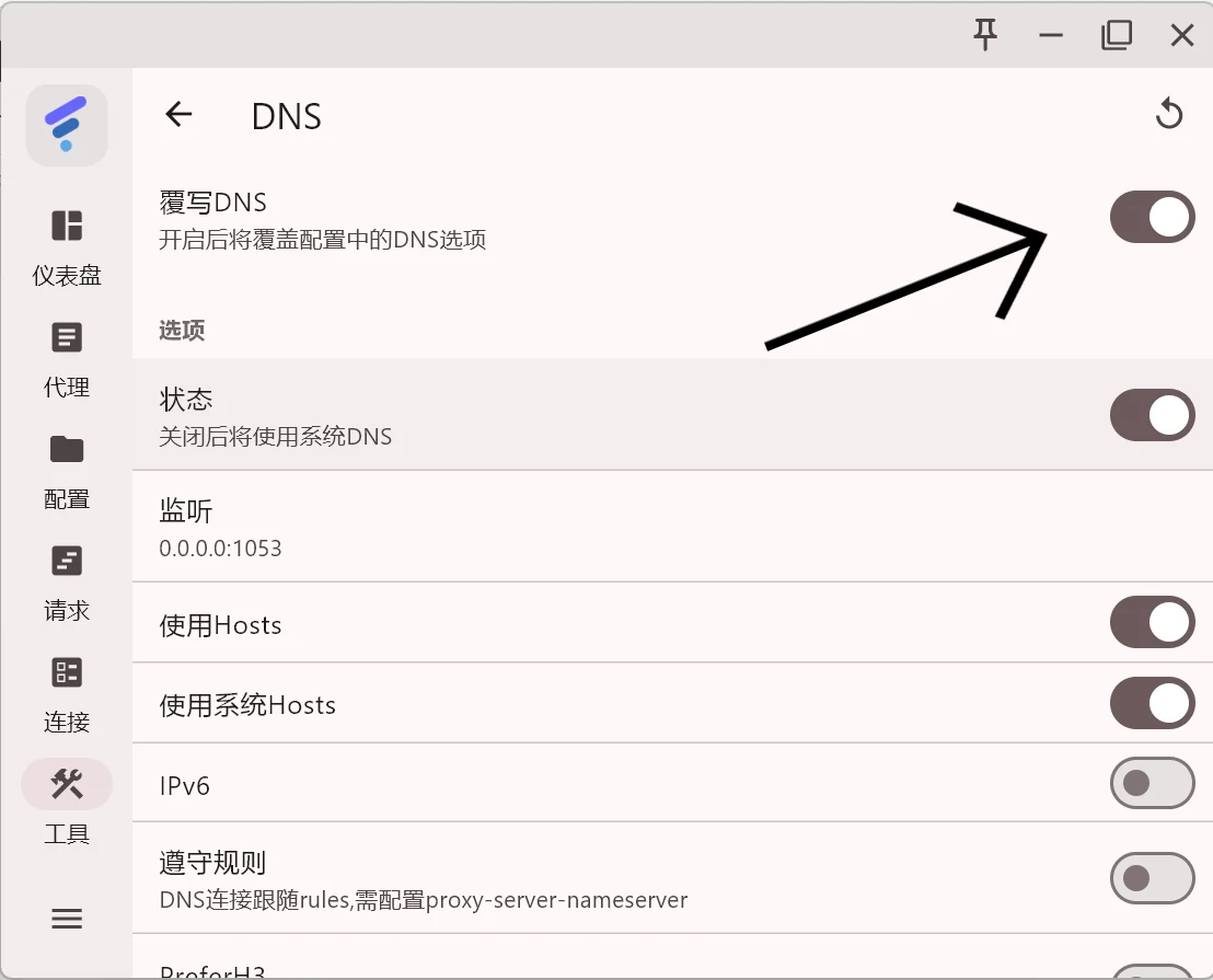 开启 DNS 覆写